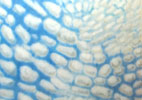 clouds 2